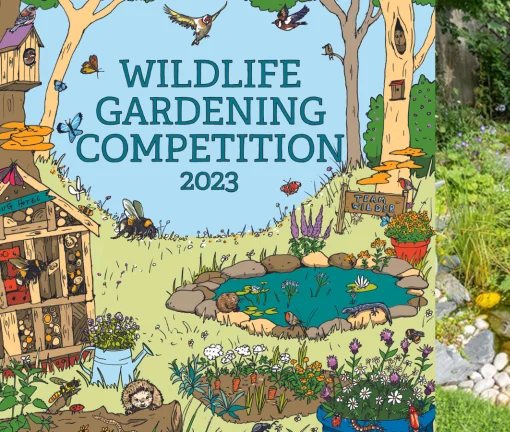 Wildlife gardening competition