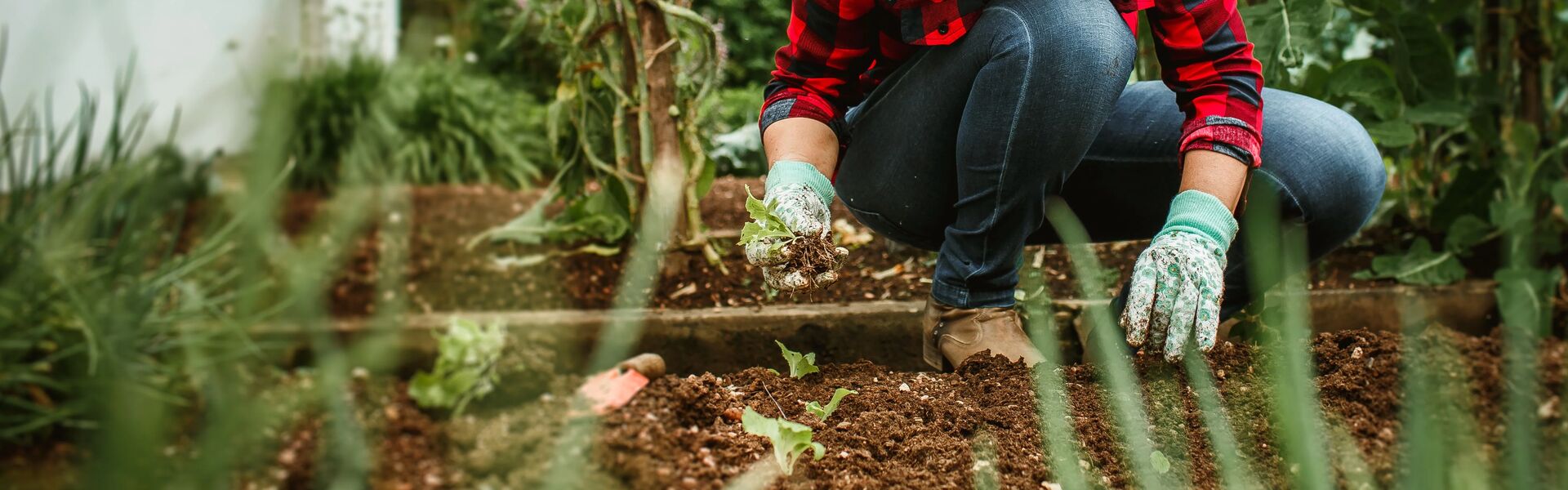 a woman kneeling down planting something in soil