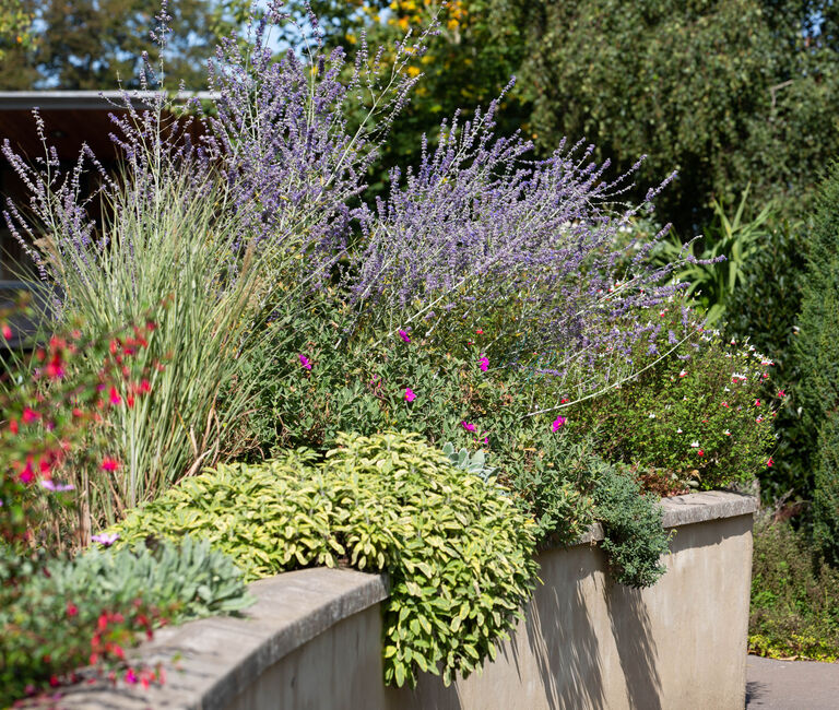 planter