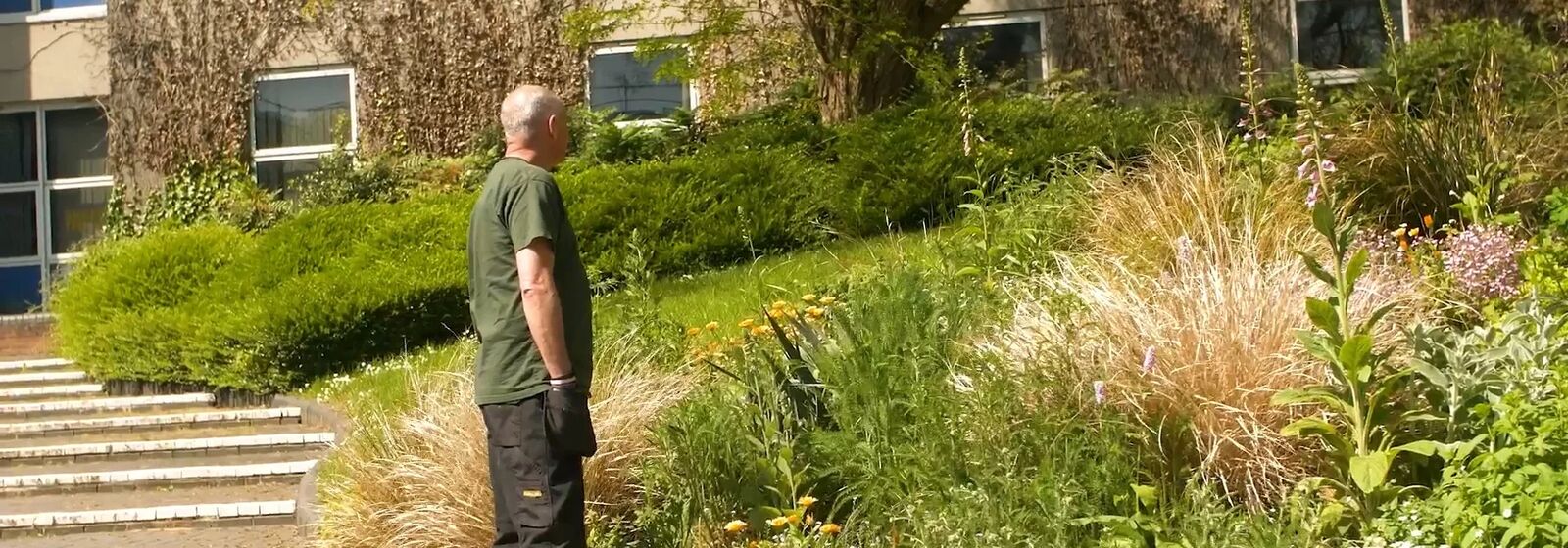 Gardener standing amongst the plants
