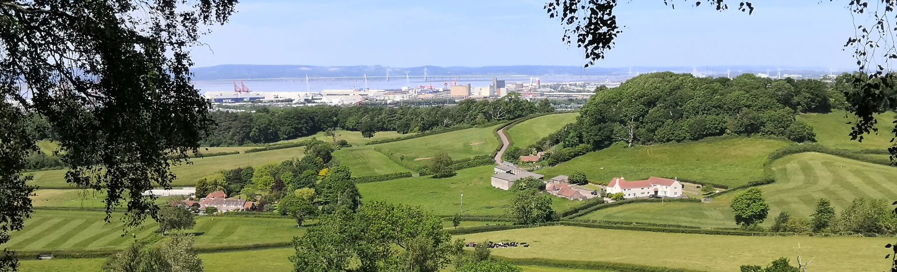 Rural houses in fields, industry behind