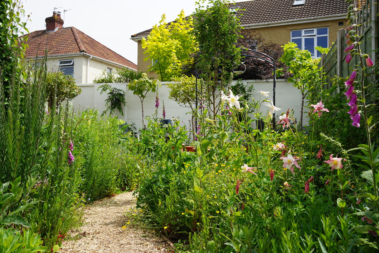 Garden wall and flowers