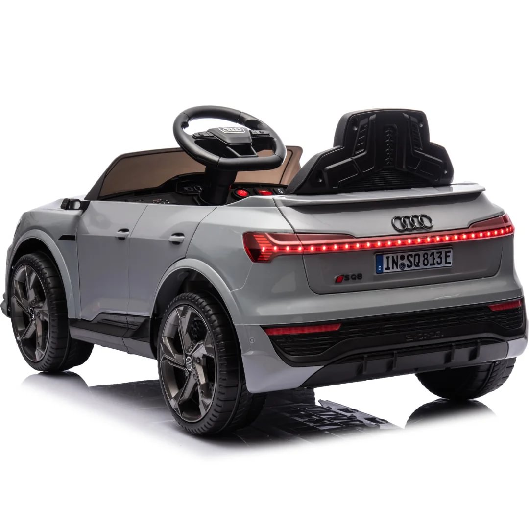 こうたん Audiキャビントロリーケース （マットブラック） アウディ Audiキャビントロリーケース （マットブラック