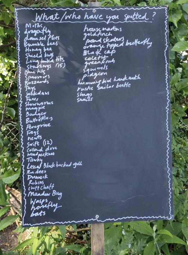 Sign with illegible writing