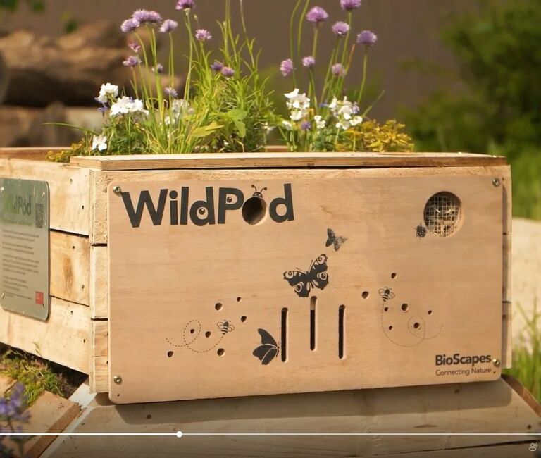 Plant box with 