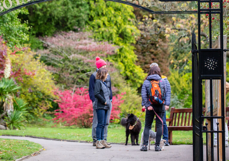 Group with dog in park