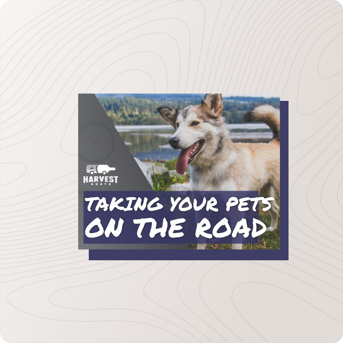 Cover of Taking Your Pets On the Road Guide
