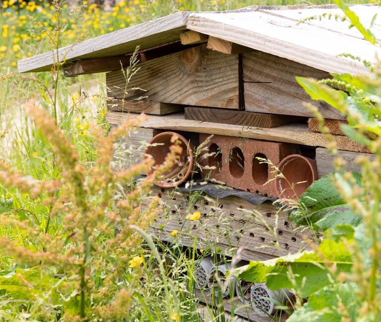 Bug hotel
