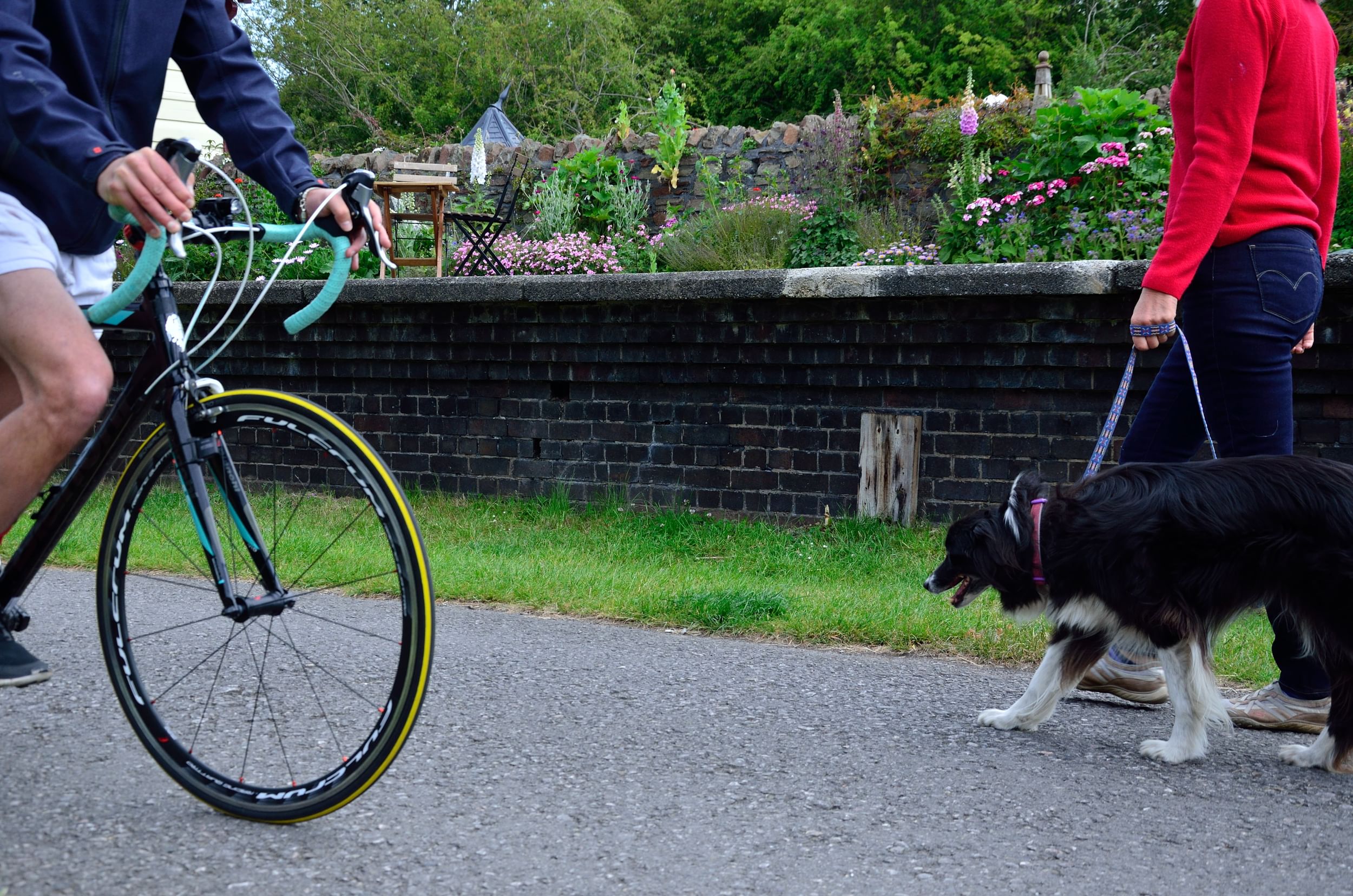 A cyclist and a dog walker passing each other on the Bristol to Bath shared path.