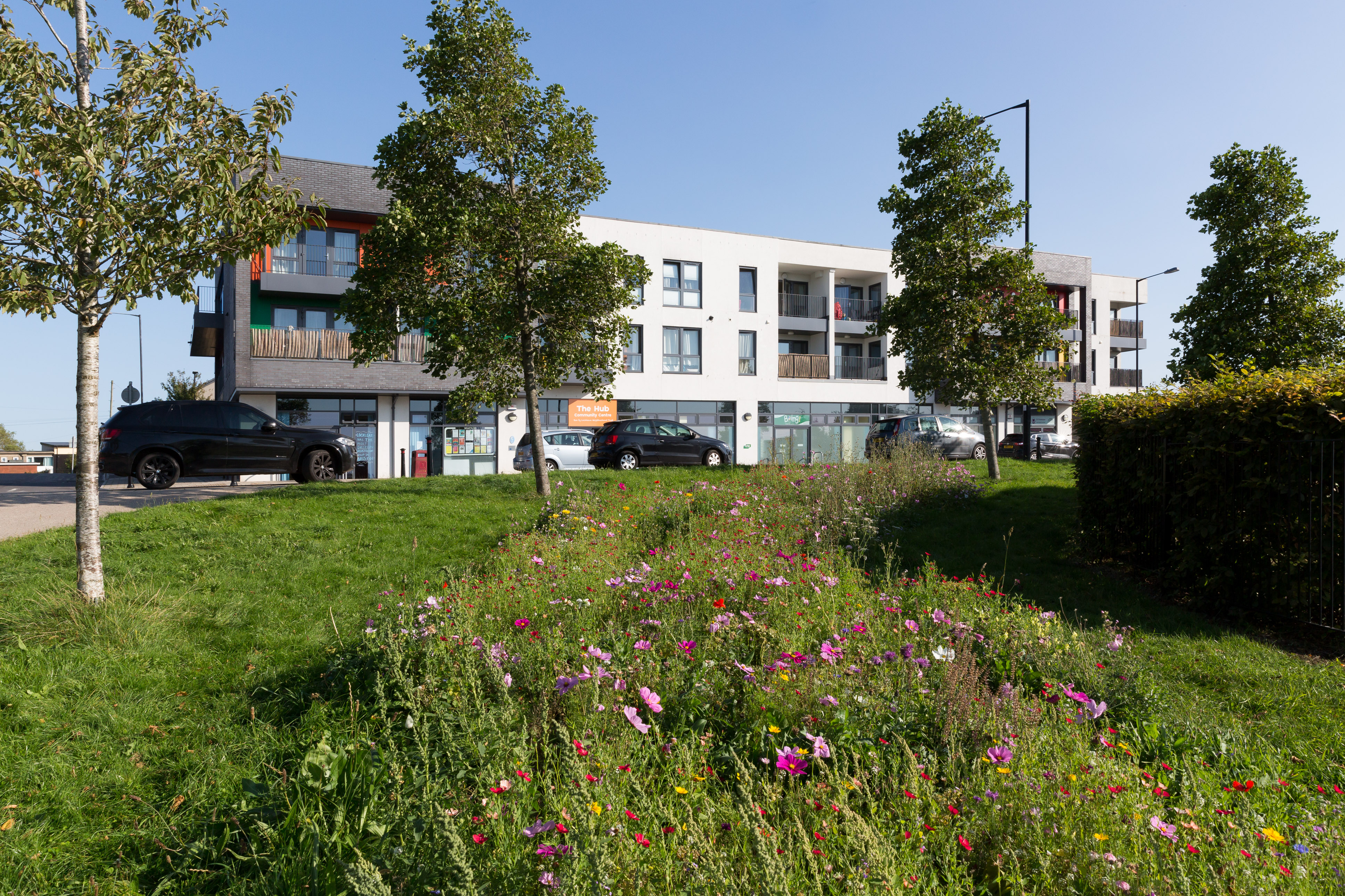 Flowered area by flats