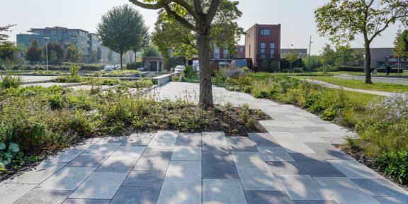 Casestudie Centrumplein de Bogen