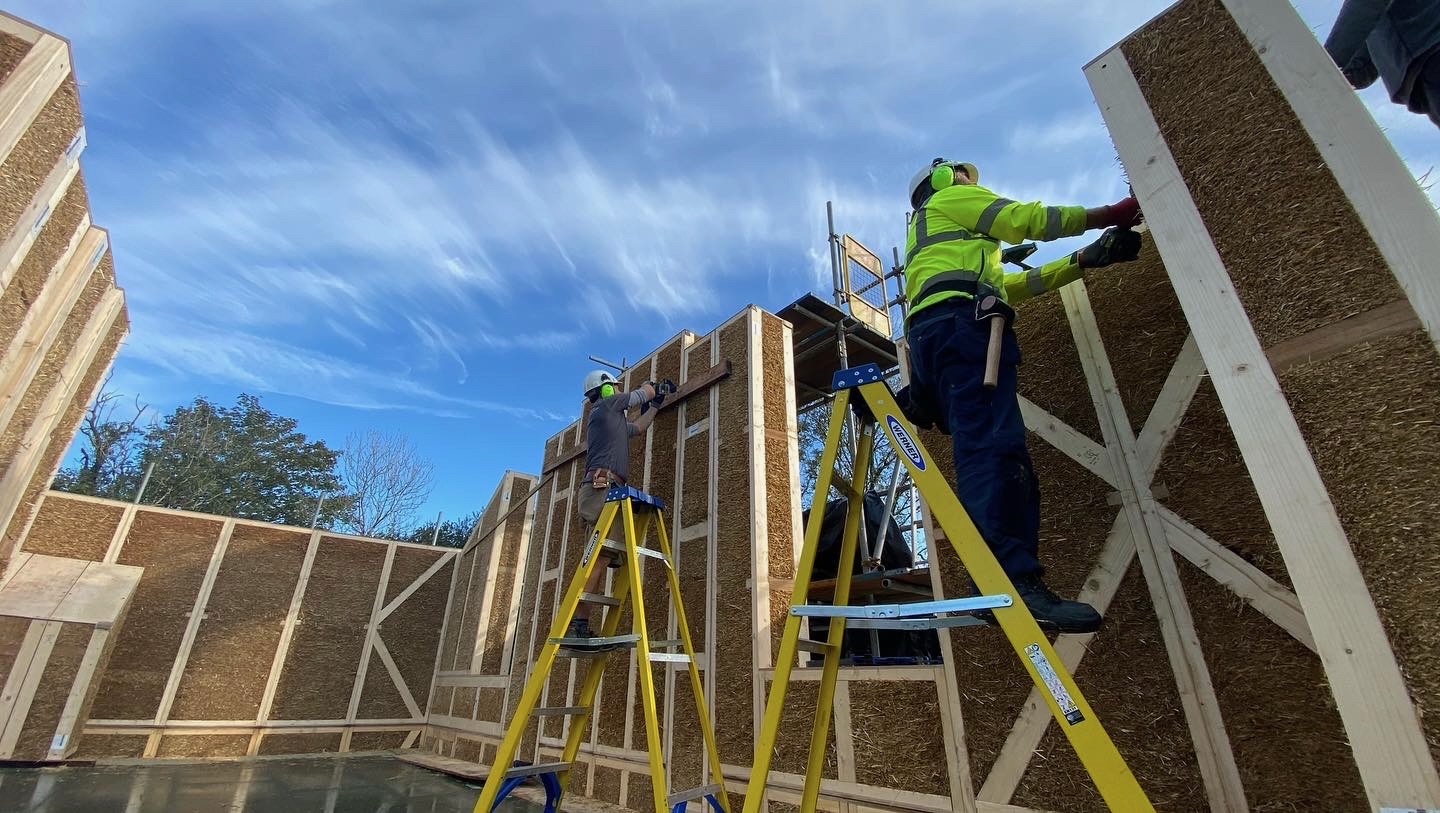 Builders on ladders, building wall. 