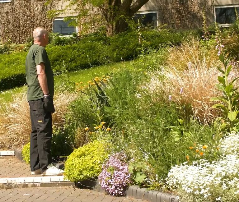 Gardener amongst flowers