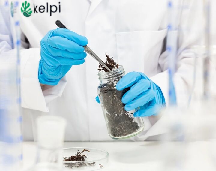 Image captures dry grass being taken out of a jar
