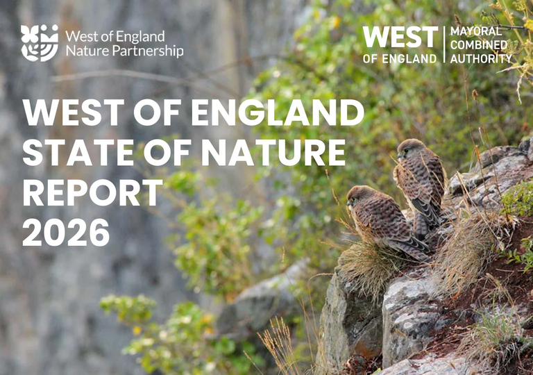 front cover of state of nature report
