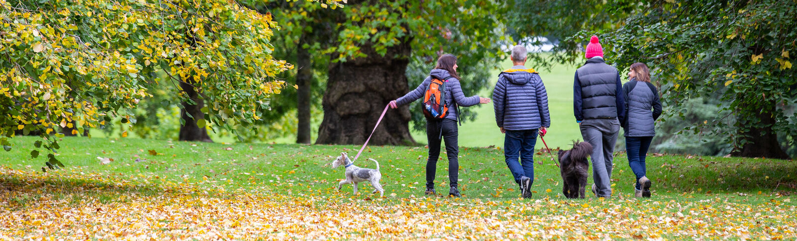 Group of people walking their dog in the park