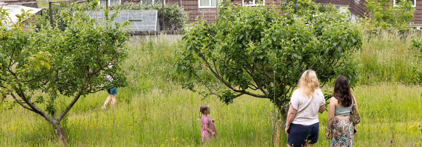 People stood in the trees