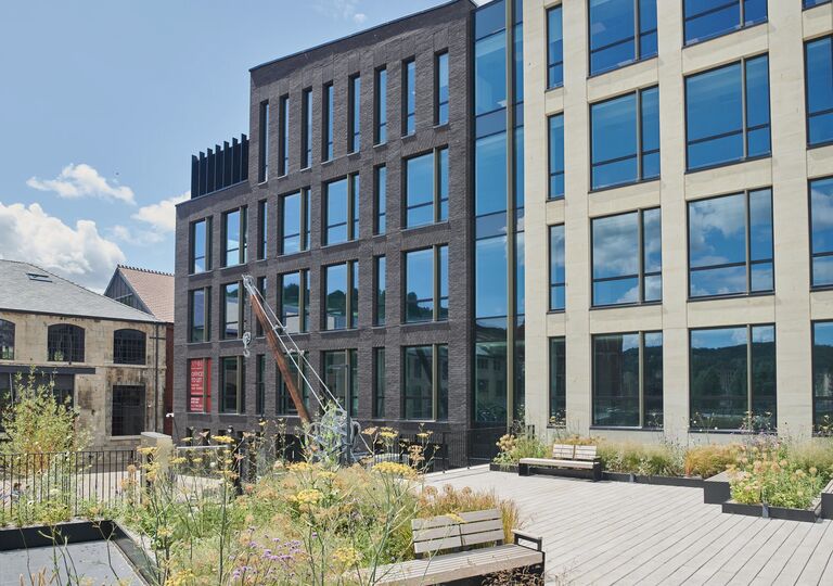 office blocks against blue sky with flowers in the foreground