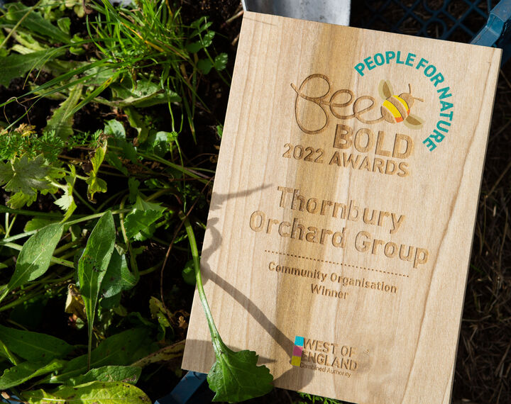 Award for bee bold 