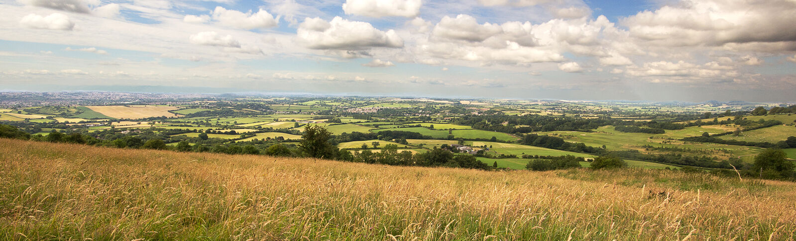 Fields of the Cotswold Way